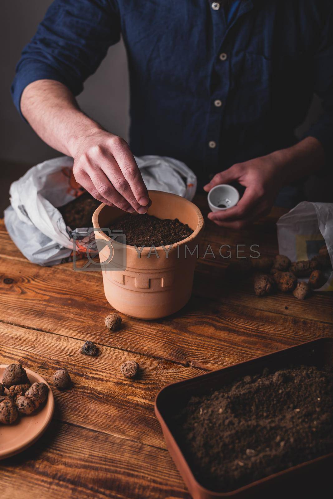 Royalty free image of Man Sowing Thyme Seeds into Terracotta Pot by Seva_blsv