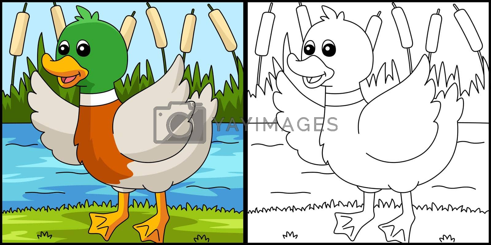 Royalty free image of Duck Coloring Page Colored Illustration by abbydesign