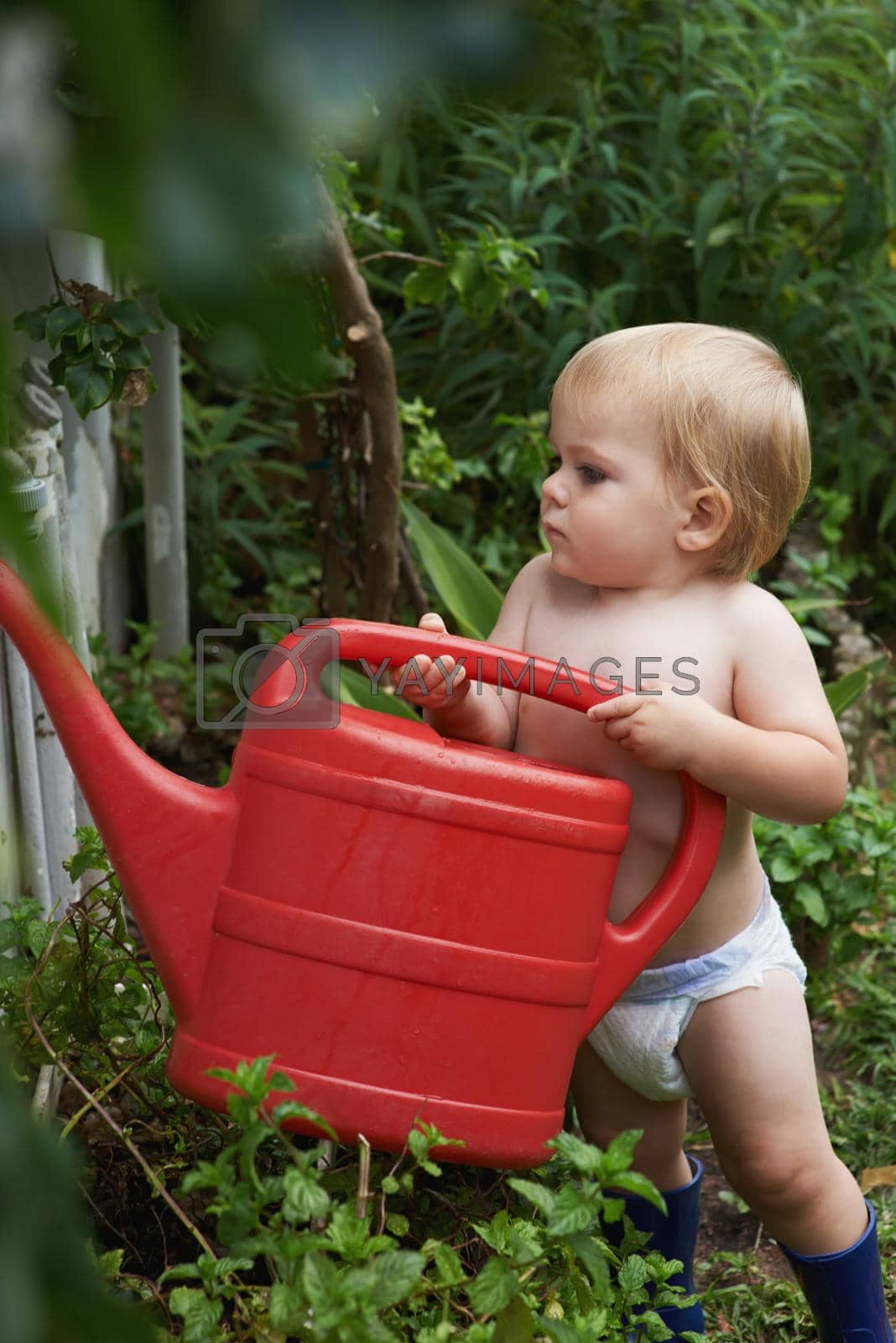 Royalty free image of Curious about how nature works. An adorable baby boy watering the garden. by YuriArcurs