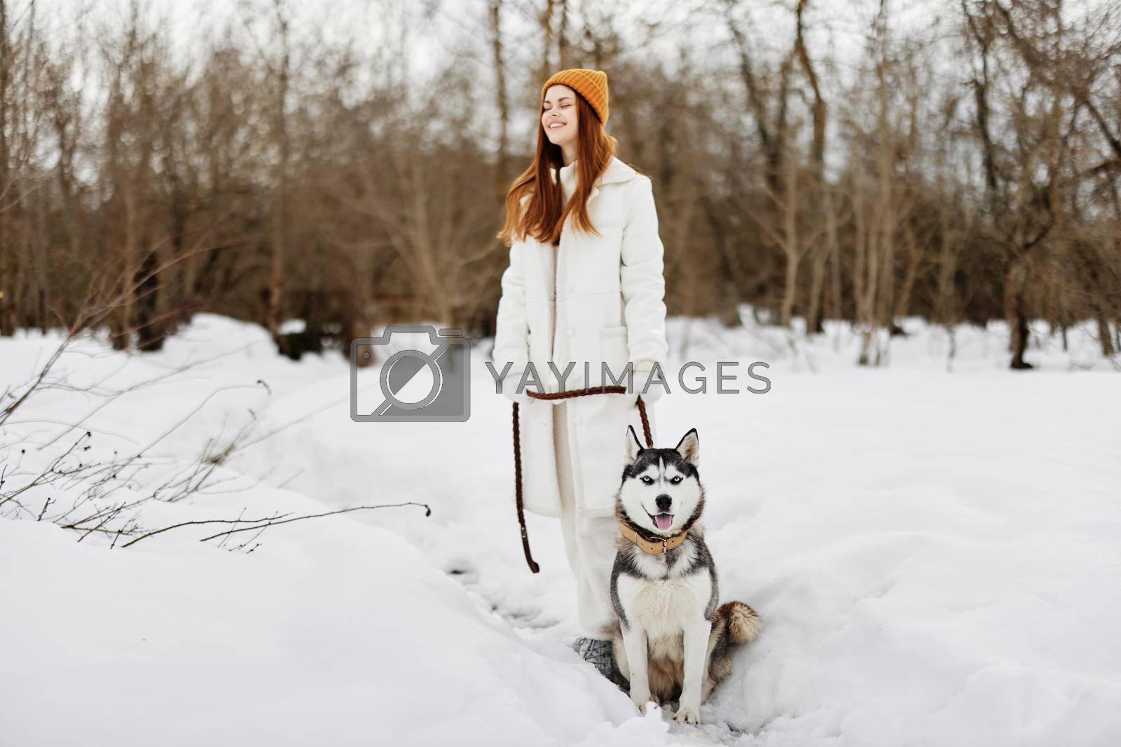 beautiful dog on a leash winter landscape walk friendship Lifestyle. High quality photo