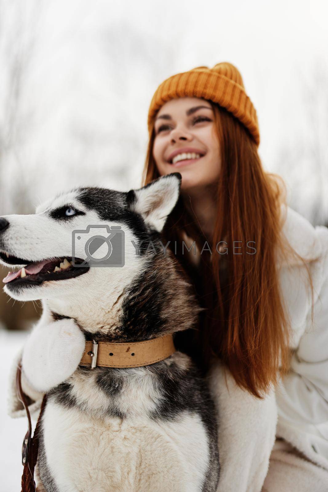 woman with a purebred dog on the snow walk play rest Lifestyle. High quality photo