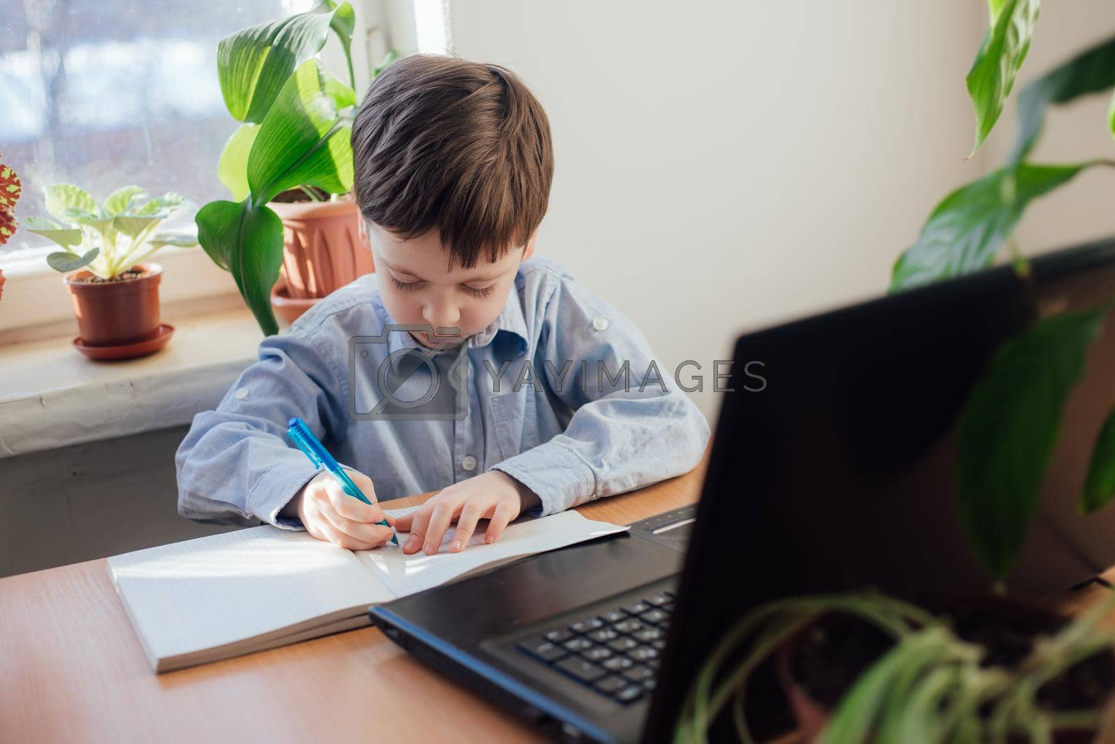 The boy is engaged in online education . Online training. Home schooling. A laptop. Child and technology. An article about the choice of education for a child. Article about home schooling online