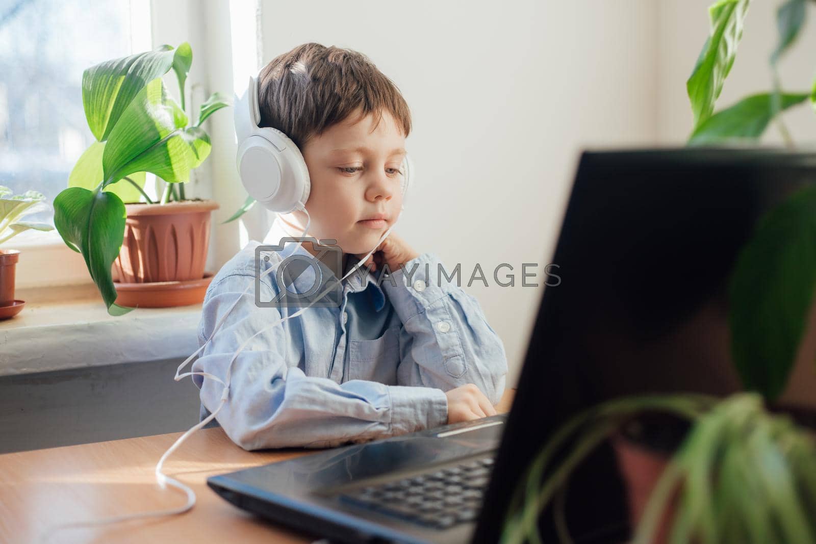 The boy is engaged in online education . Online training. Home schooling. A laptop. Child and technology. An article about the choice of education for a child. Article about home schooling online