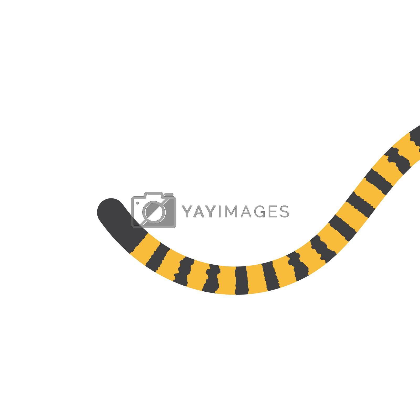 Royalty free image of Tiger tail blank space  by awk