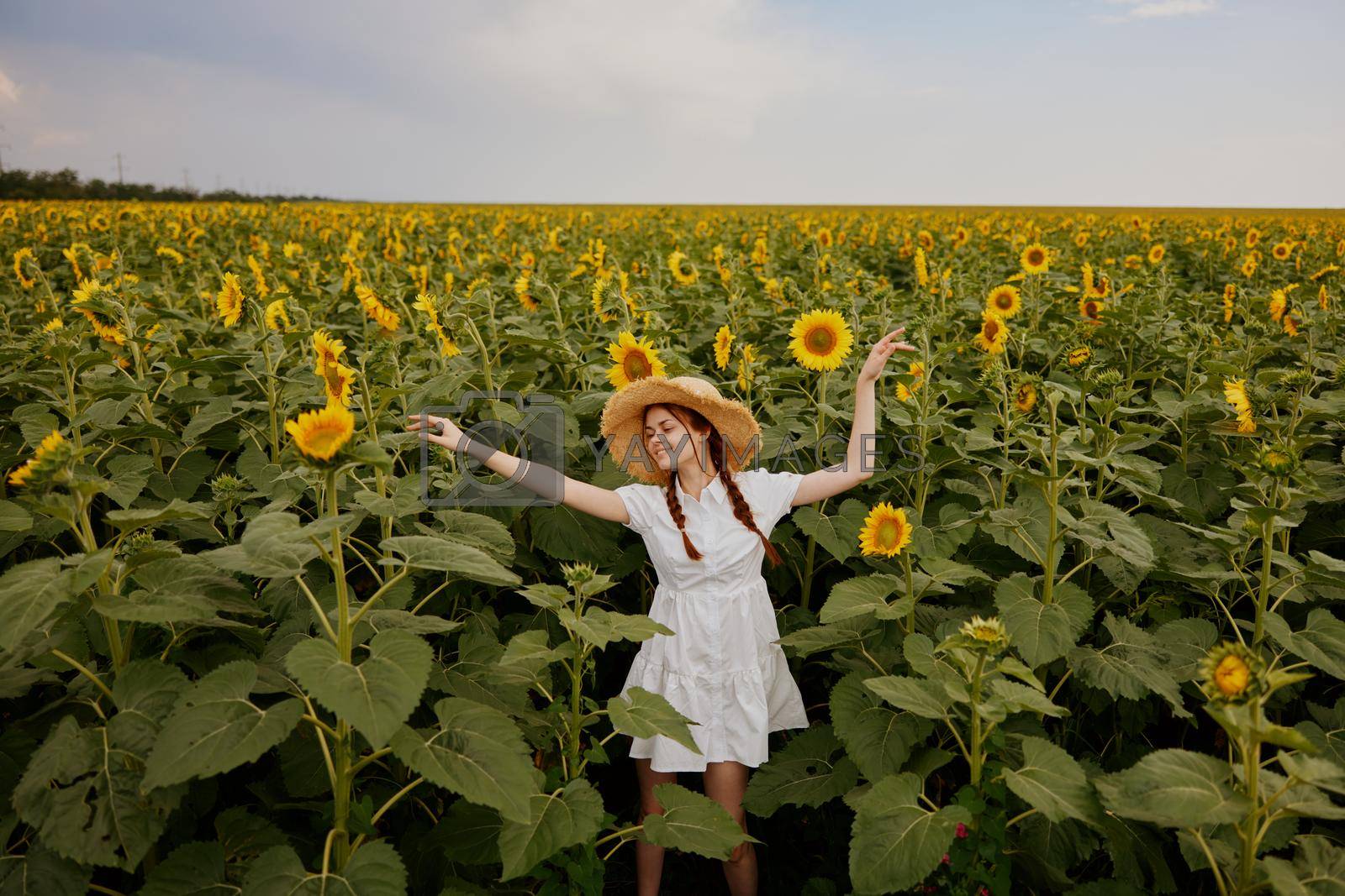 woman portrait In a field with blooming sunflowers countryside. High quality photo