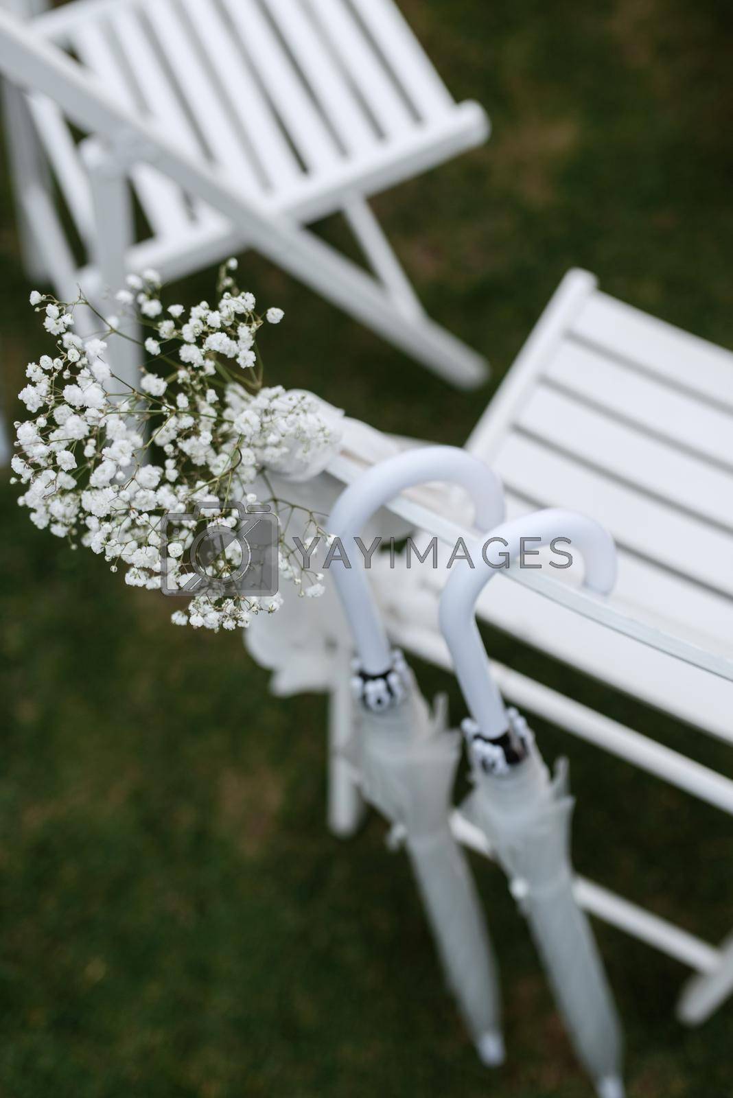 Royalty free image of white wooden chairs for wedding ceremony by Andreua