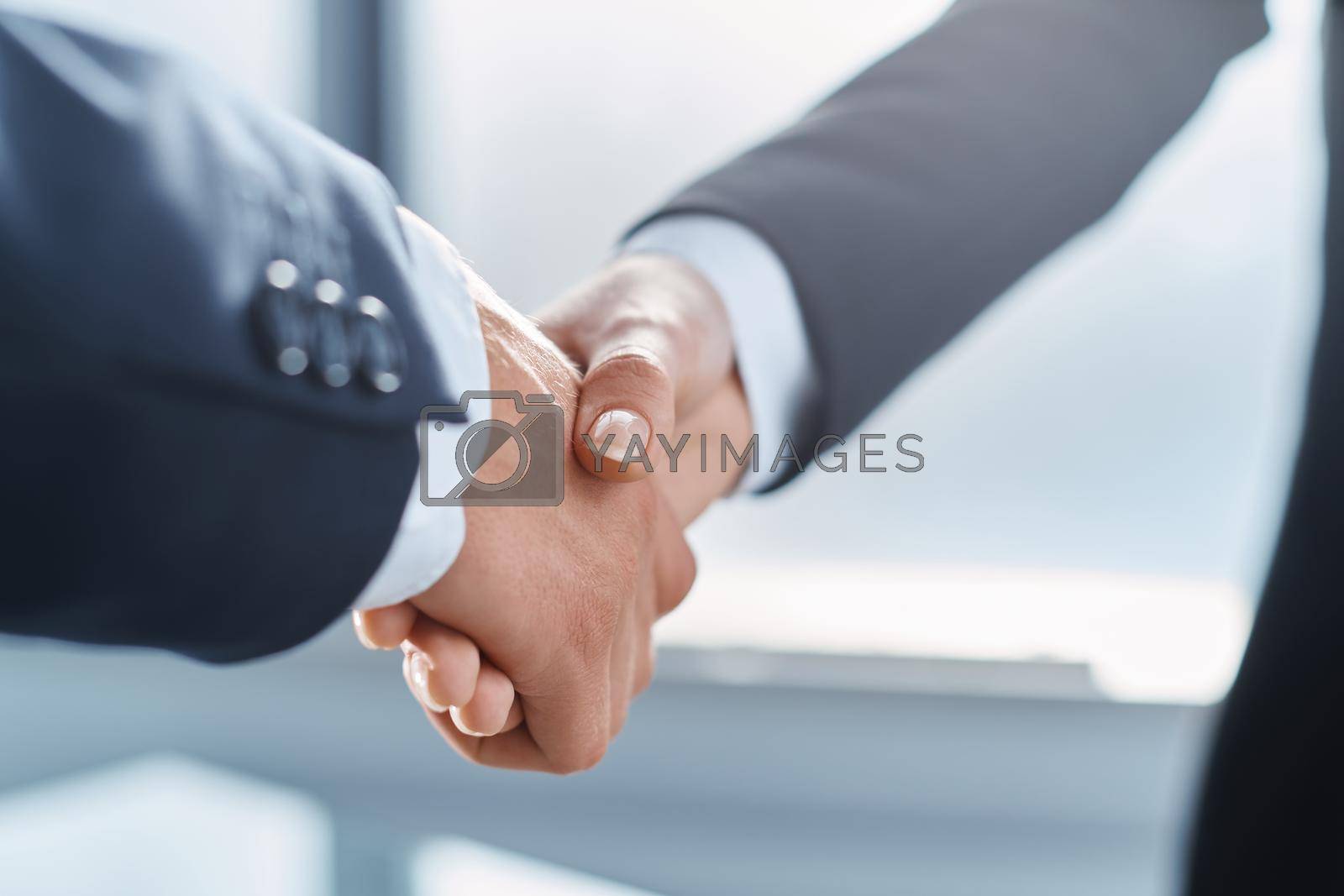 confident business handshake. concept of partnership. close-up.