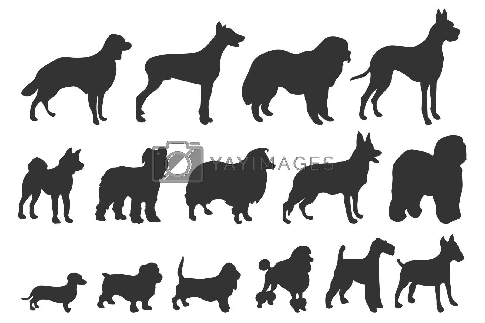 Dog silhouettes. Various breed. Doberman, malamute and labrador, poodle and corgi, bulldog and pug. Isolated vector set. Collection of pets or domestic animals as collie, akita and dachshund