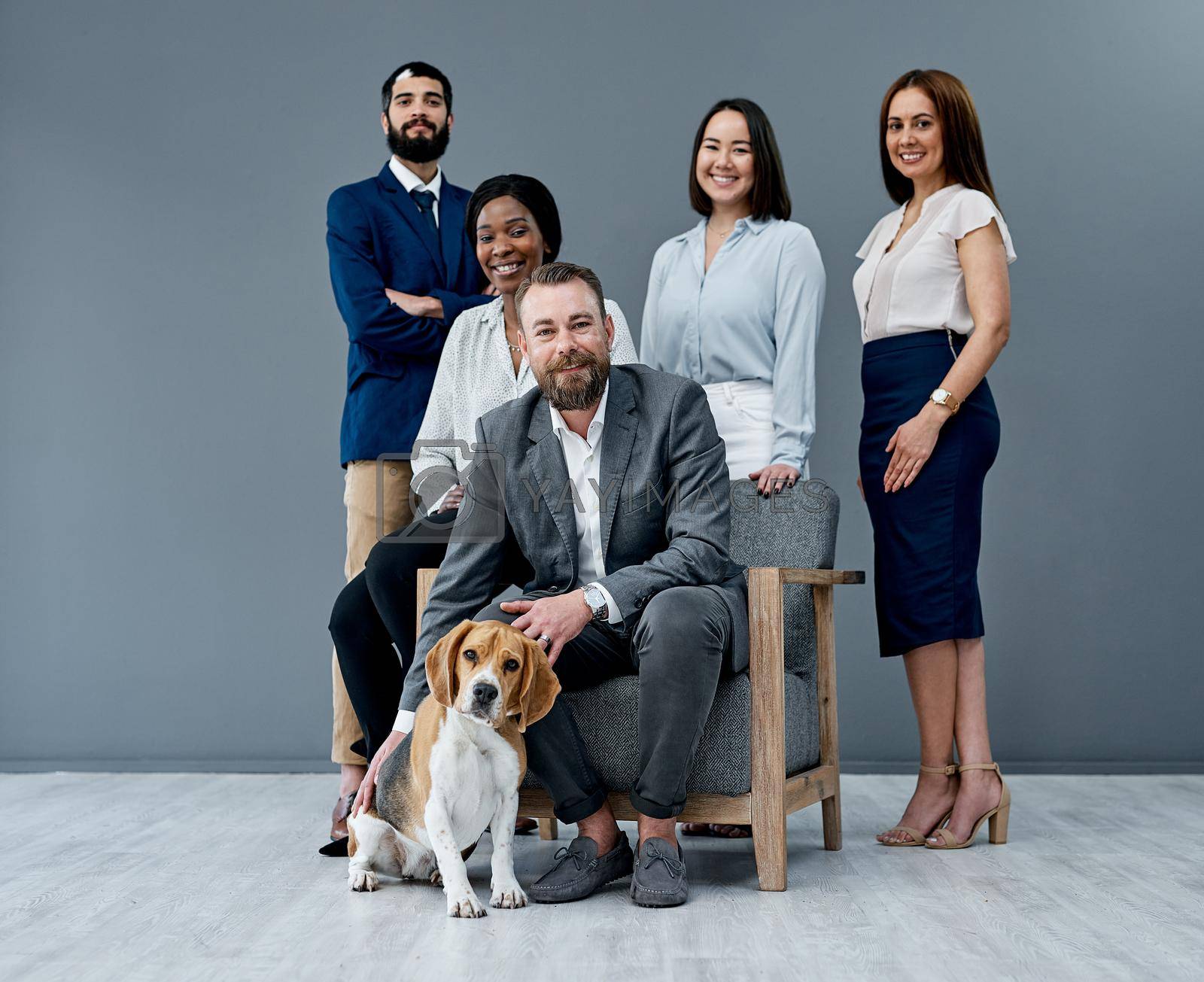 Portrait of a group of businesspeople posing together with a dog against a grey background.