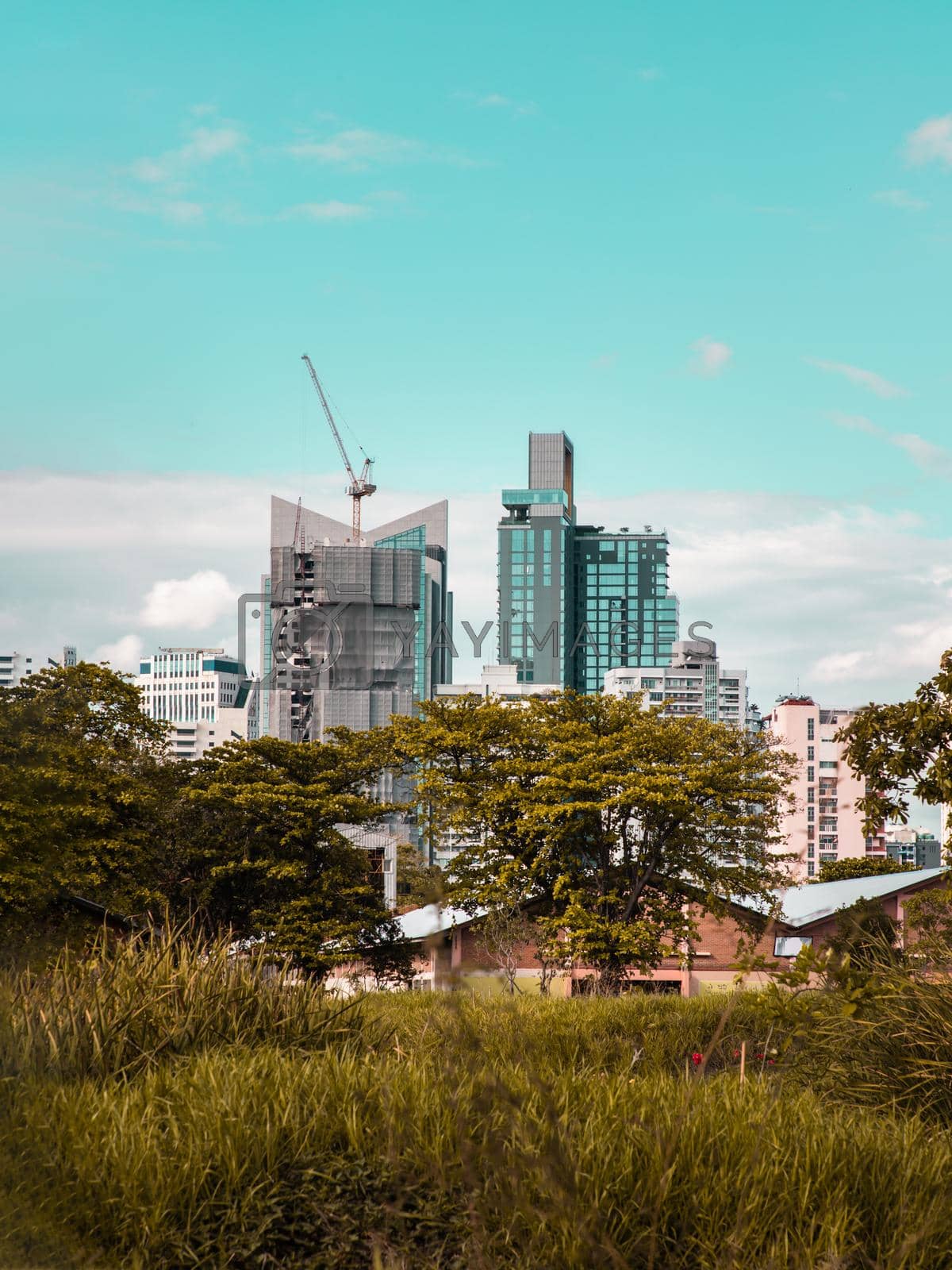Bangkok, Thailand - Feb 19, 2022 : View of Modern high buildings among green trees space in nature against blue sky with clouds at afternoon. City growth concept, Selective focus.