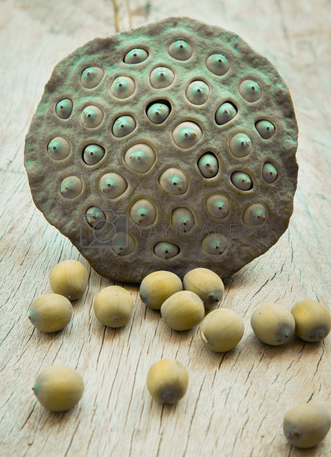 Fresh green lotus seed pods and Lotus seeds green on old wooden board background. Selective focus.
