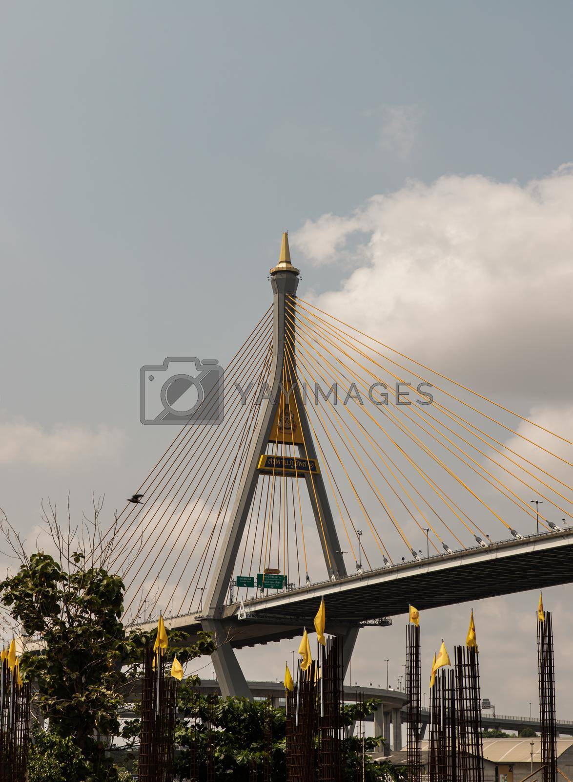Bangkok, thailand - 12 Mar, 2021 : Bhumibol suspension bridge cross over Chao Phraya River at afternoon. Is one of the most beautiful bridges in Thailand. Selective focus.