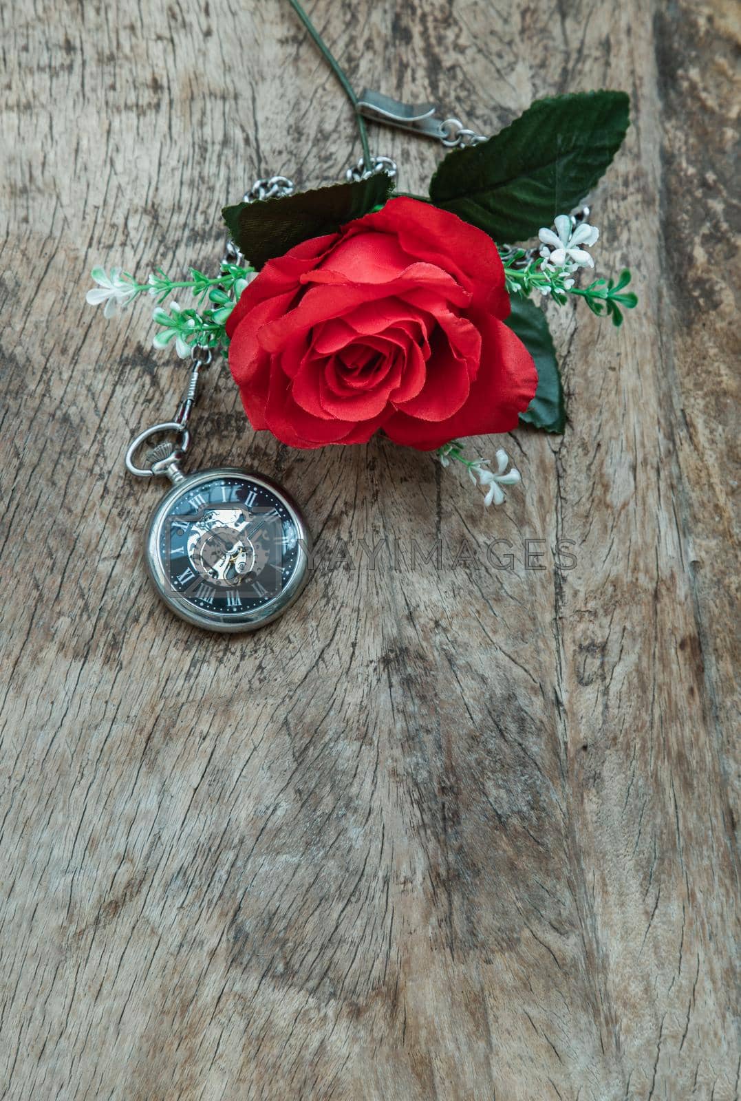 Red rose flower and A retro pocket watch on old wooden board background. Copy space, Selective focus.