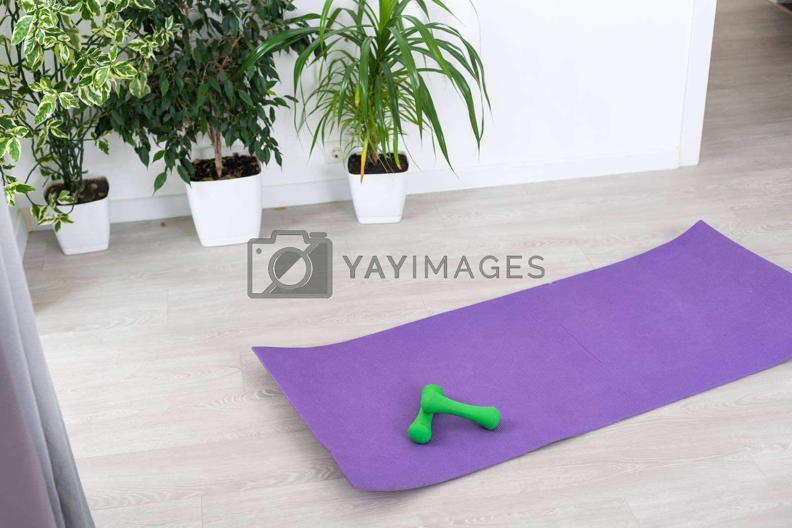 Training at home concept, interior, decorative sport in the room with gym fitness exercise purple mat, dumbbell.
