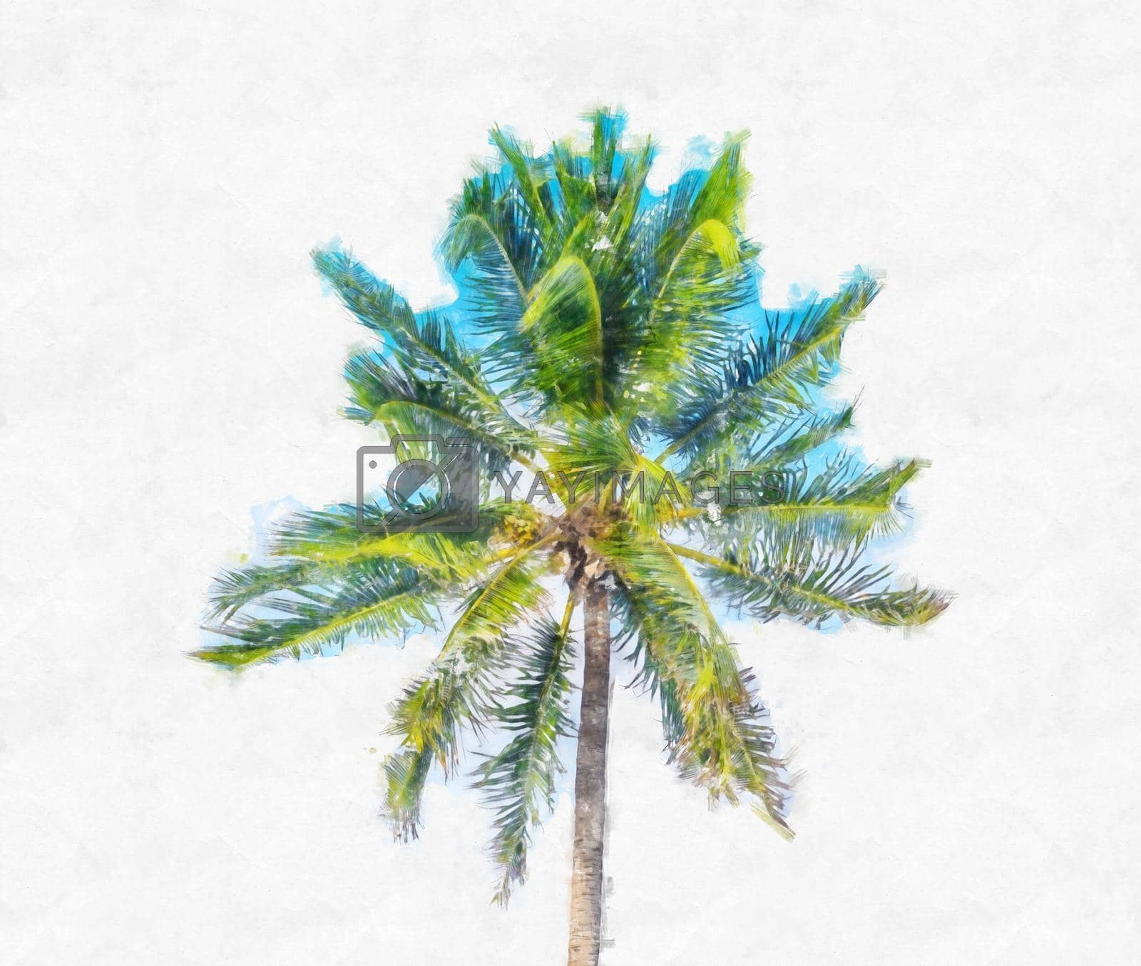 Watercolor painting illustration of One palm tree on blue sky with clouds