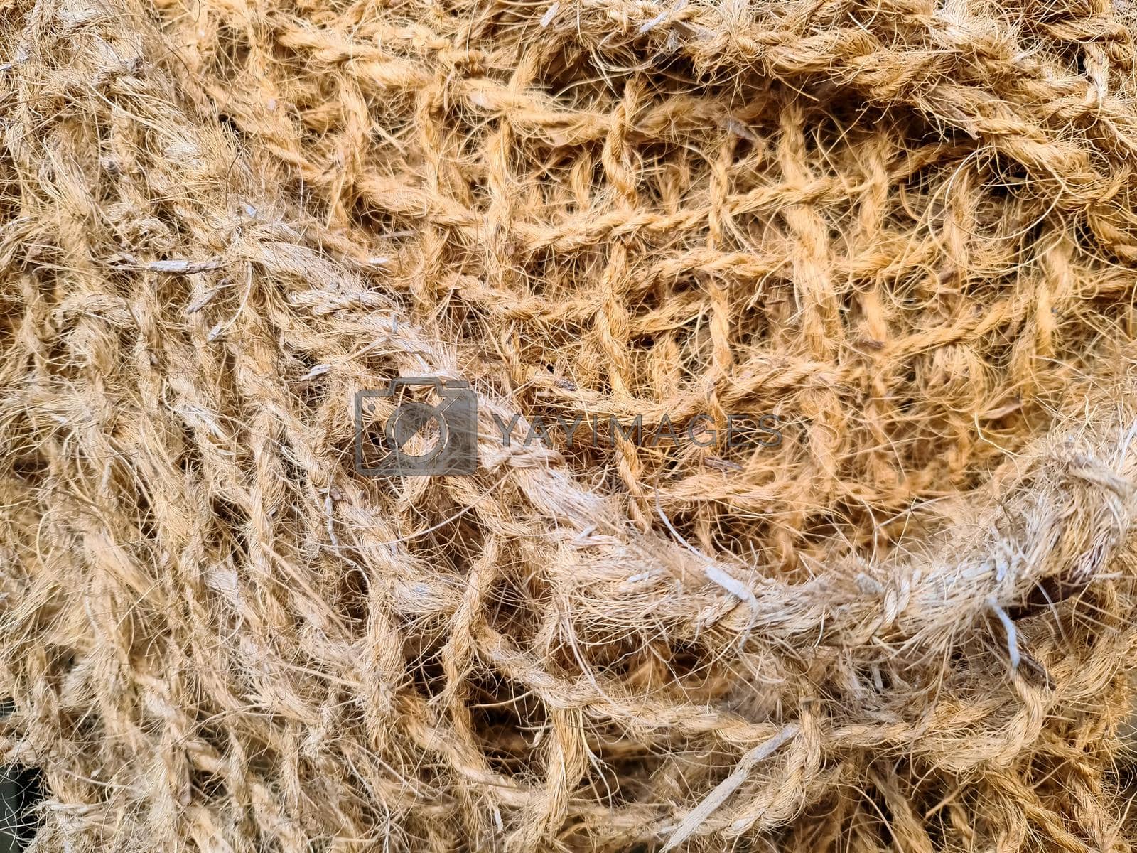 Close up view on a net surface
