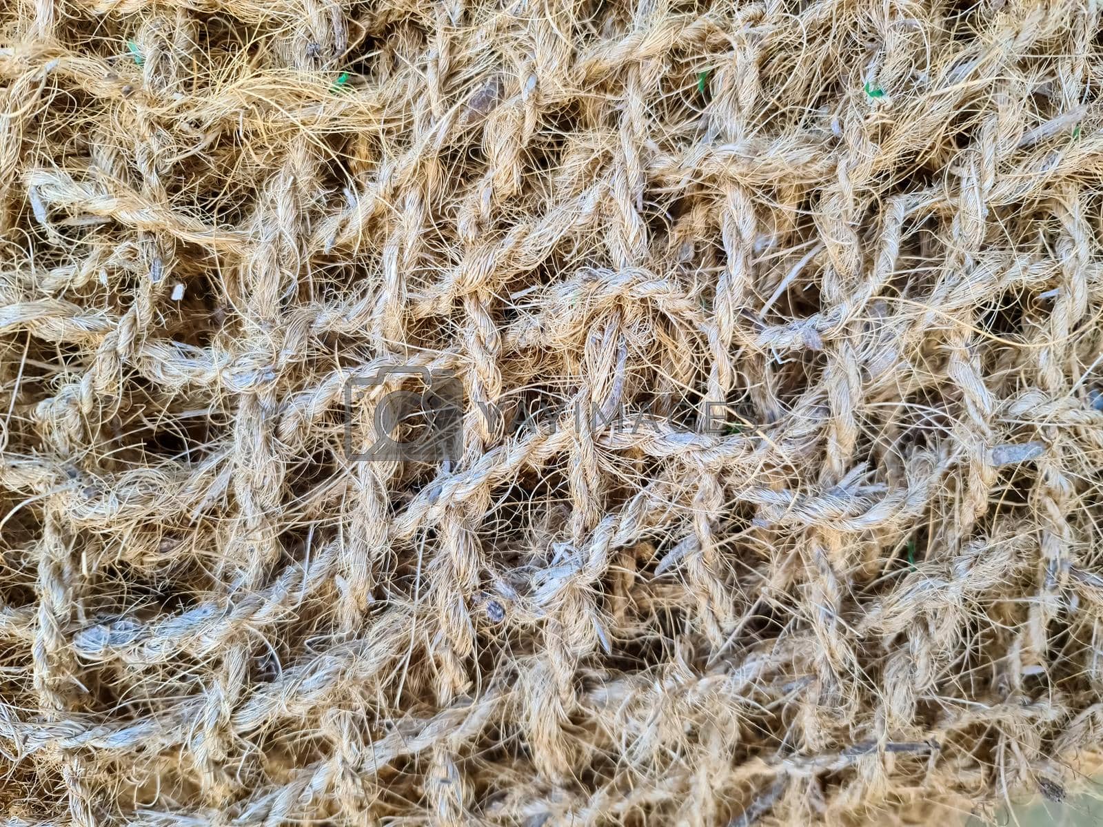 Close up view on a net surface