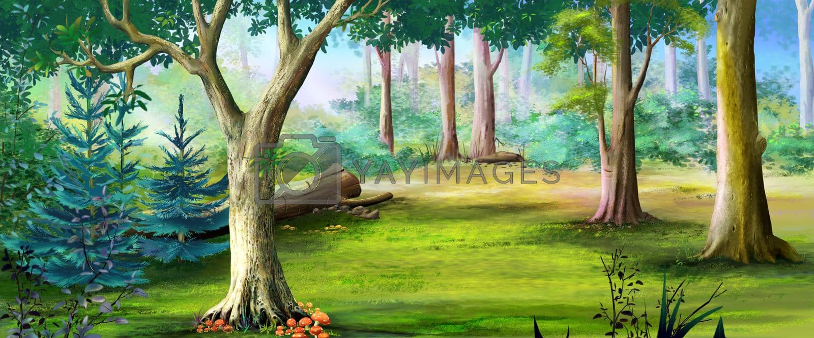 Royalty free image of Forest glade on a sunny summer day by Multipedia