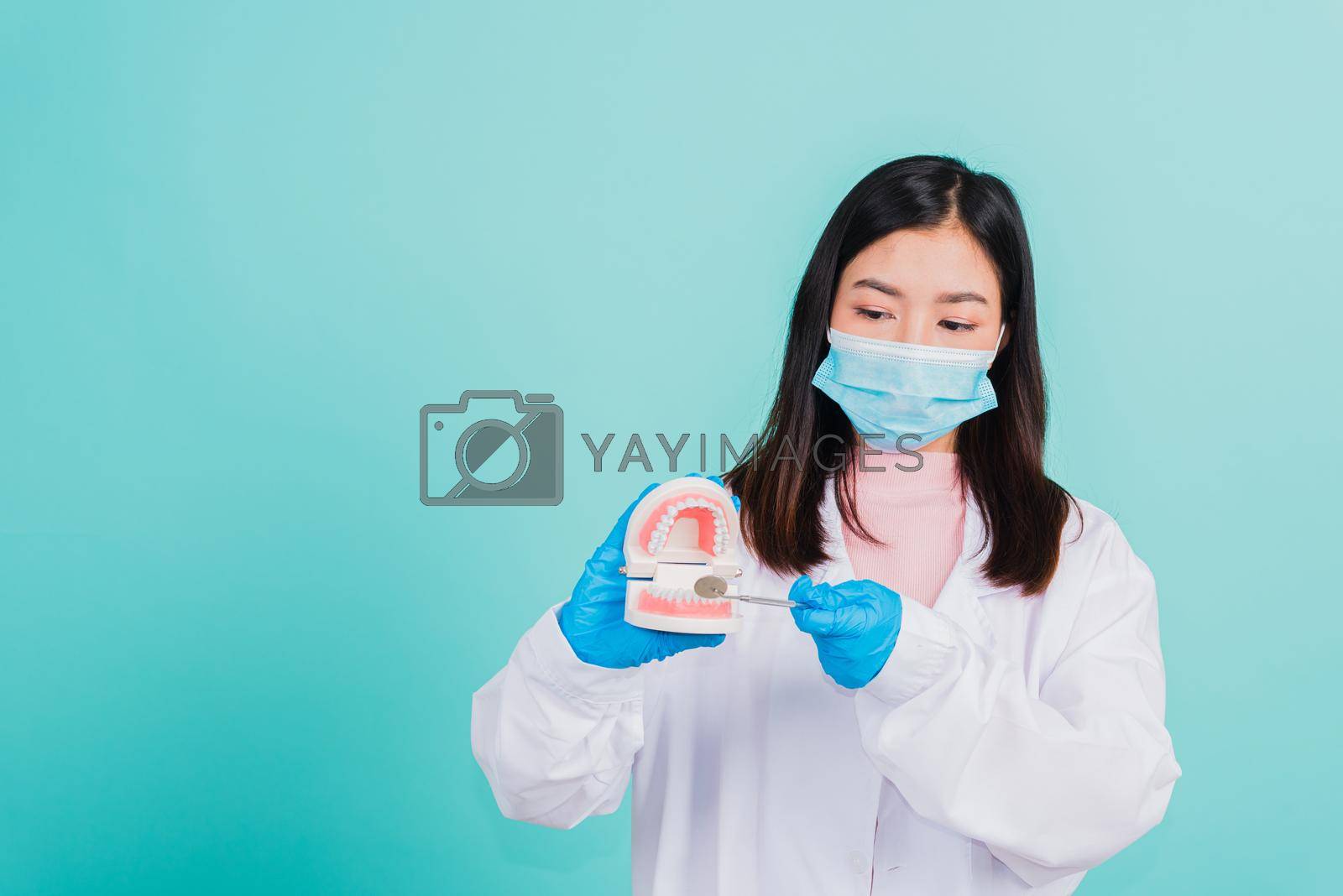 Asian beautiful woman dentist holding professional tool and pointing model teeth denture, female doctor checking denture isolated on blue background. Dental hygiene surgery health care concept