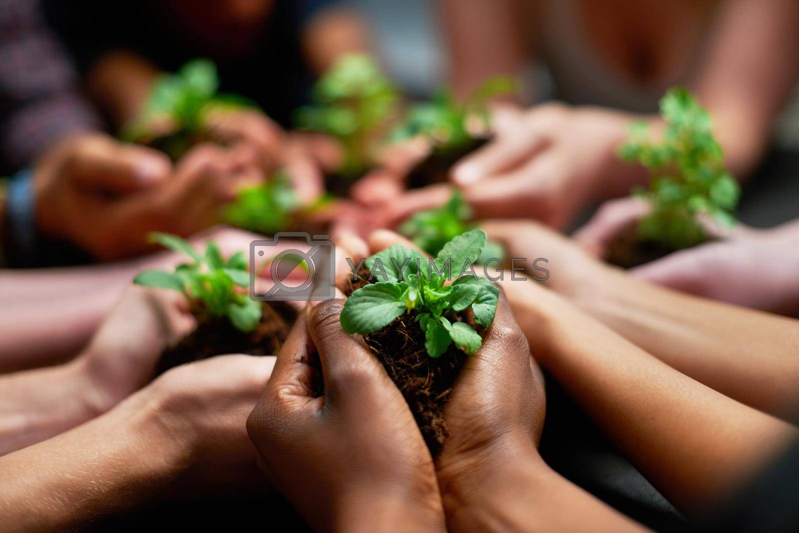 Shot of a group of people each holding a plant growing in soil.