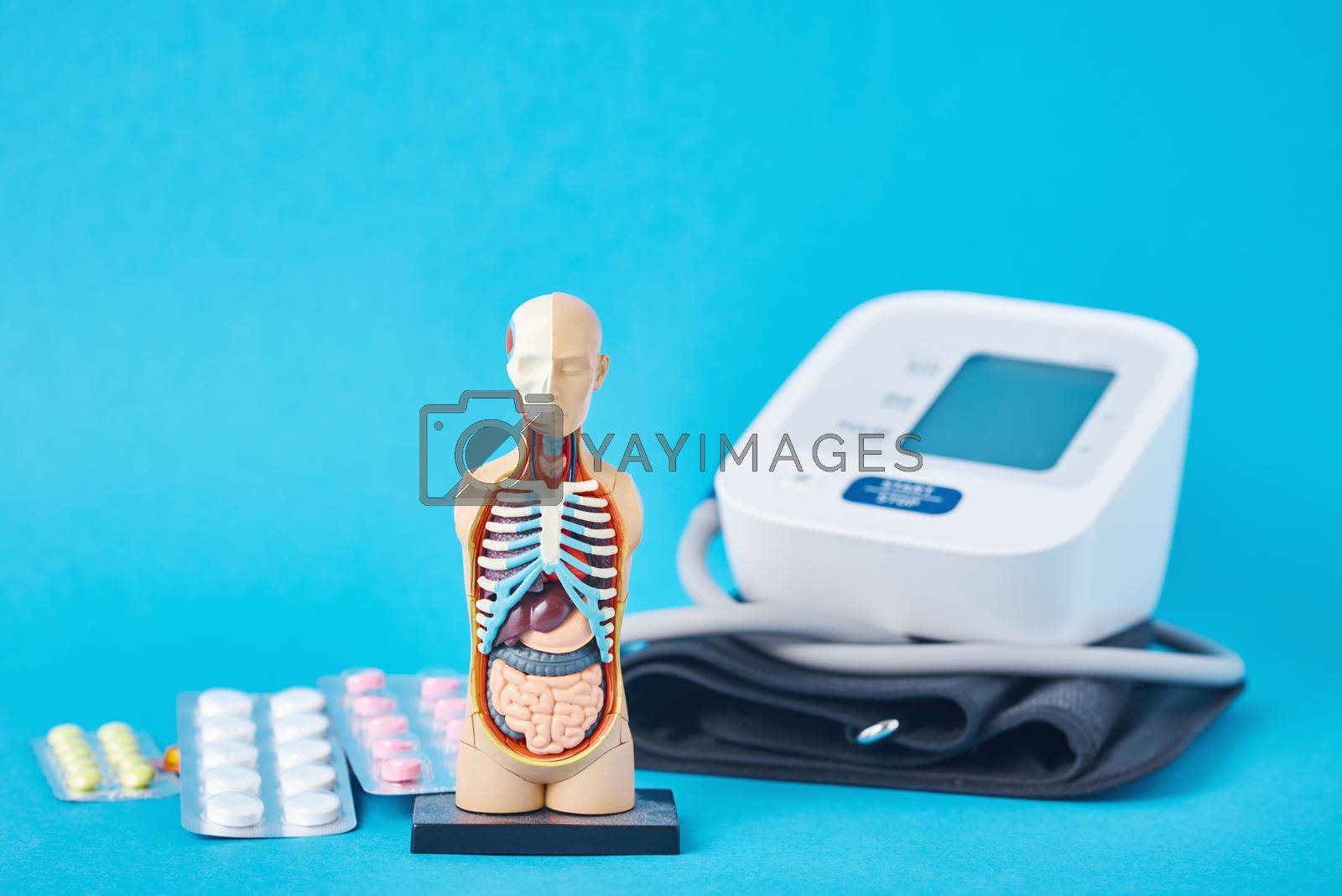 Digital blood pressure monitor, anatomical dummy man mannequin and medical pills on blue background. Healthcare and medicine concept