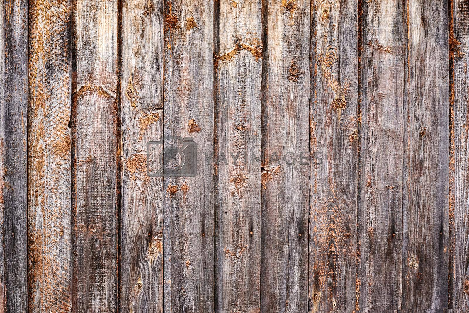 Old wood texture. Dark grunge wooden planks background