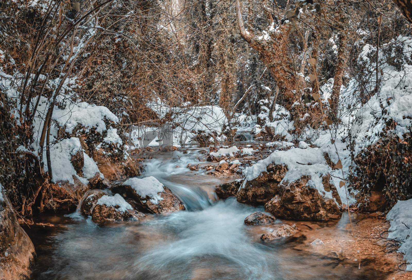 Amazing View on a Beautiful Mountainous River. Streaming Water Between Big Stones and Trees Covered with Snow. Gorgeous Winter Landscape.