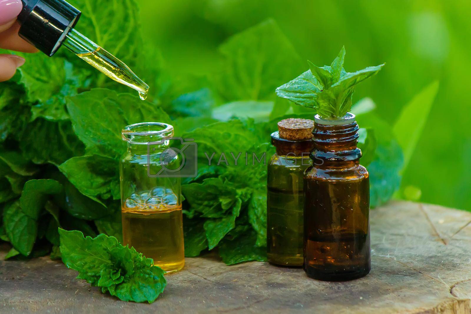 Royalty free image of Amber bottle with essential oil Peppermint with fresh mint leaves, herbal scent in a dark glass jar. Aromatherapy concept. by Anuta23