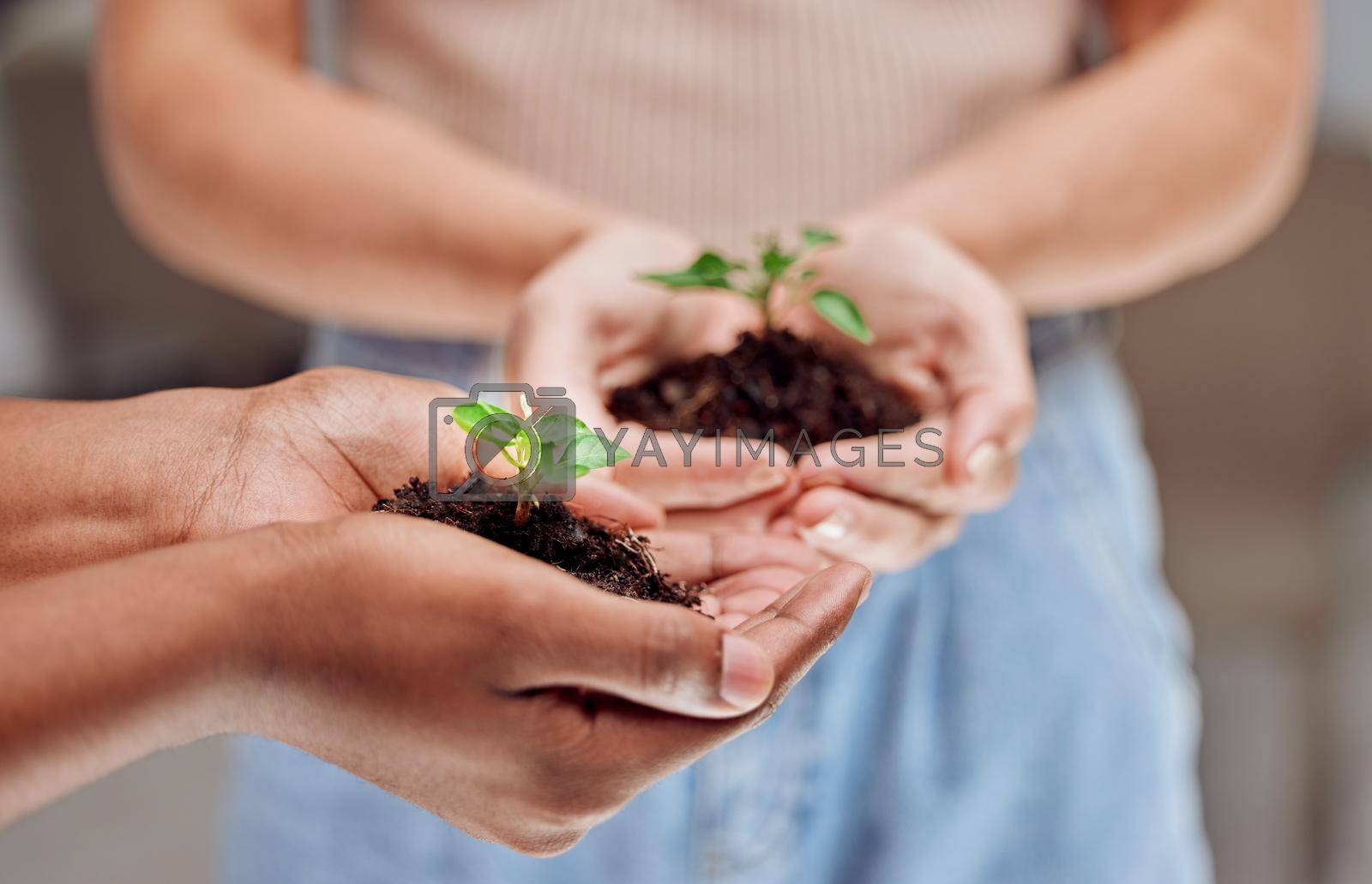 Cropped shot of two unrecognizable people holding plants growing out of soil.