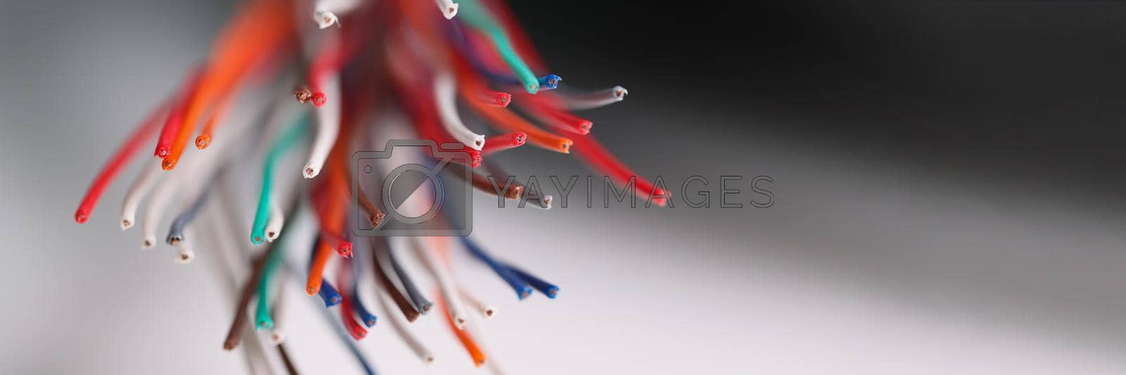 Royalty free image of Bundle of thin multicoloured cords by kuprevich