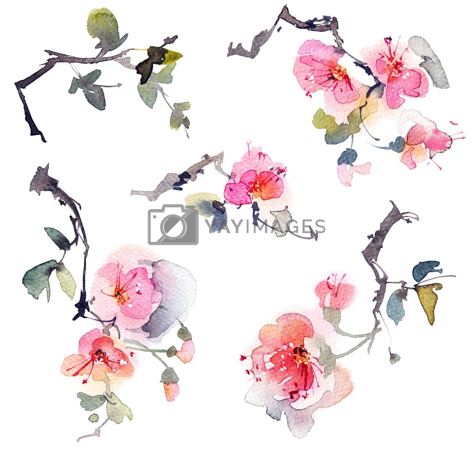 Royalty free image of Blossom tree branch by Olatarakanova