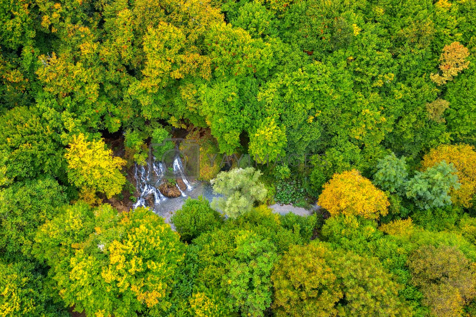 Royalty free image of Aerial view from drone of beauty waterfall between trees in autumn by EdVal