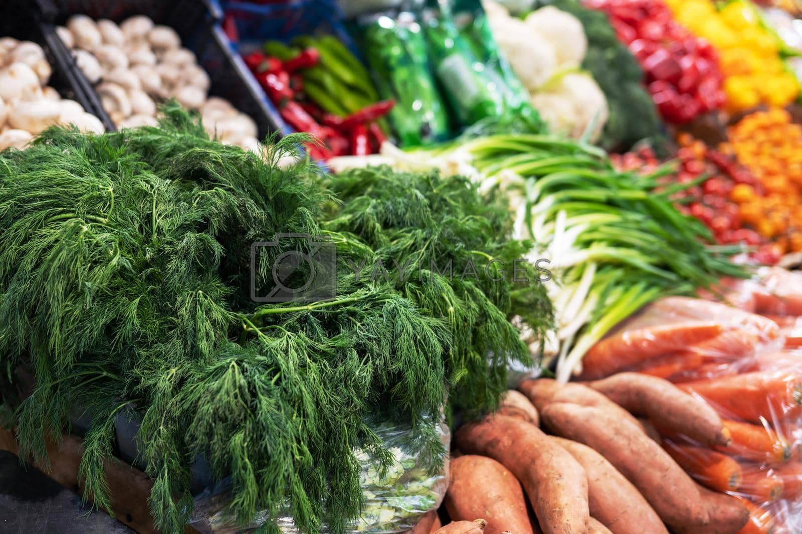 Royalty free image of Assortment of fresh vegetables by rusak