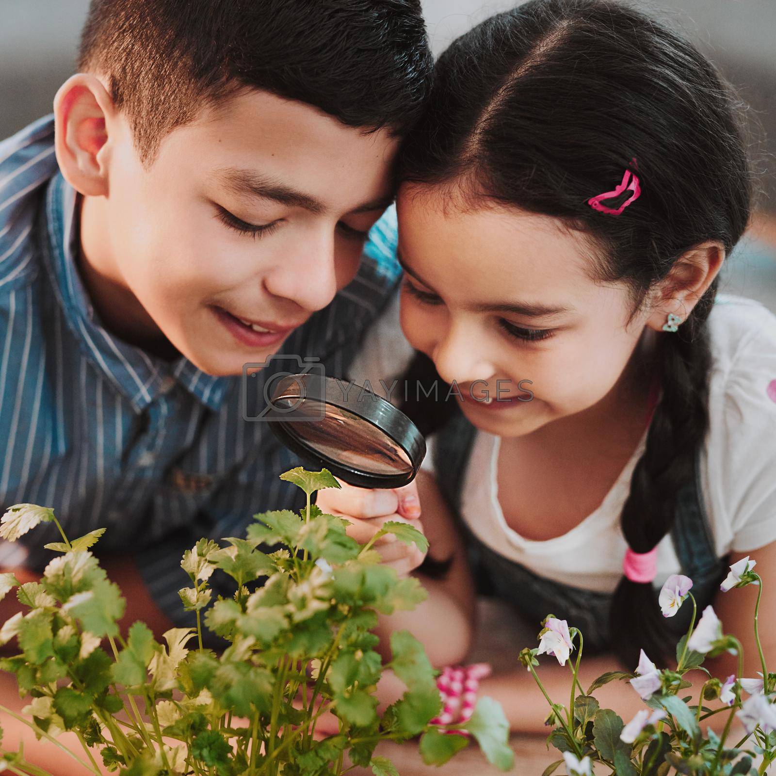 Royalty free image of You can see everything so clearly. Cropped shot of two adorable young siblings looking through a magnifying glass while experimenting with plants at home. by YuriArcurs
