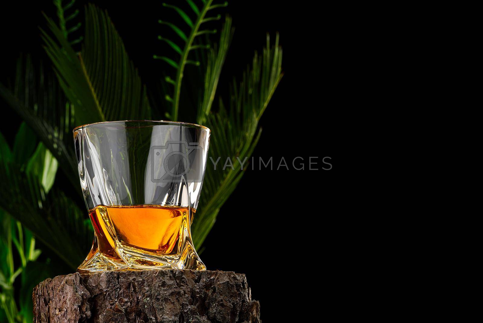Royalty free image of Wisky glass on wooden log on black background. Wisky glass without ice by PhotoTime