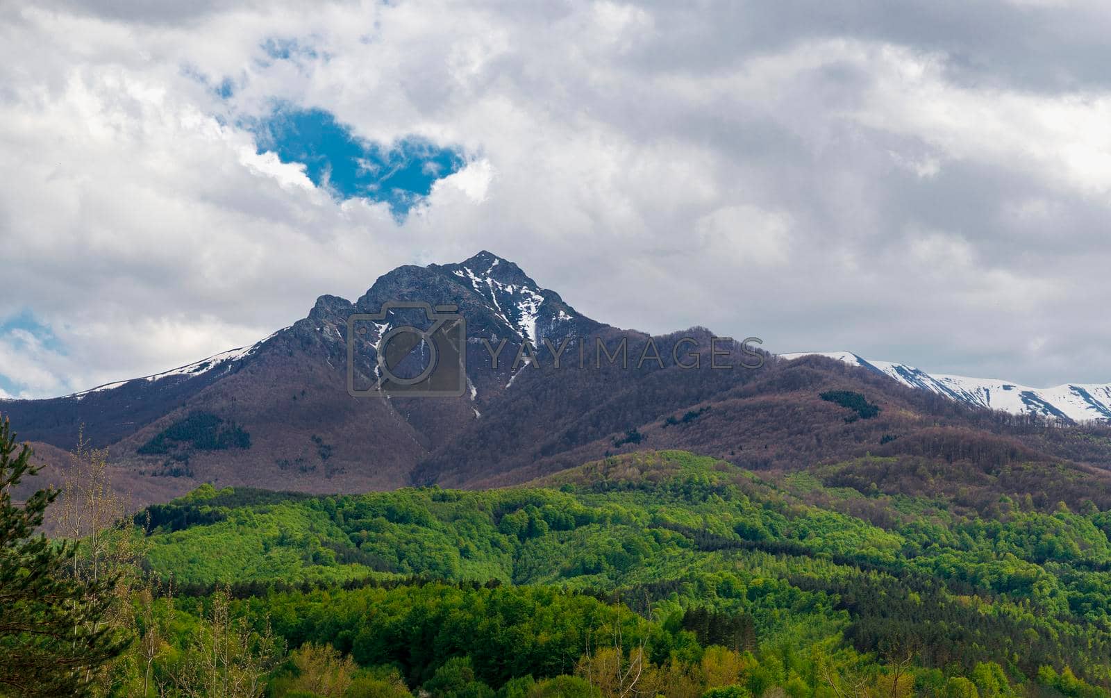 Royalty free image of Colorful landscape in spring of big mountain peak and green forest. by EdVal