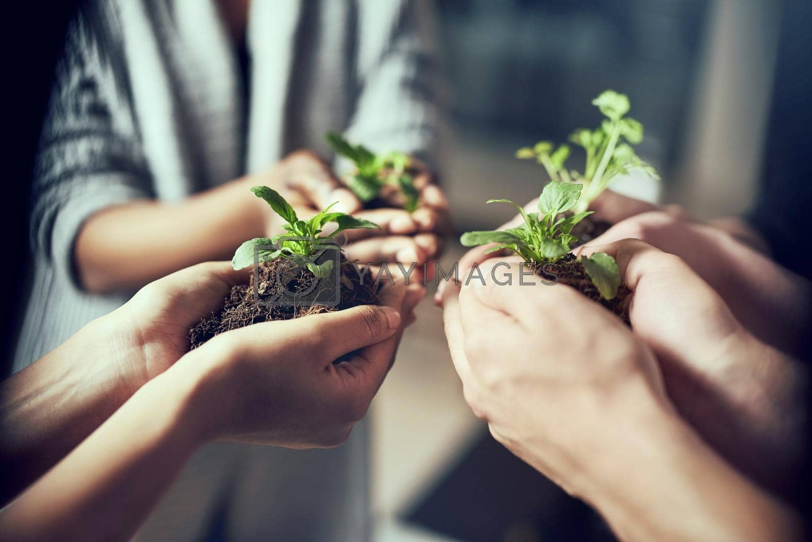Closeup shot of a group of people each holding a plant growing in soil.