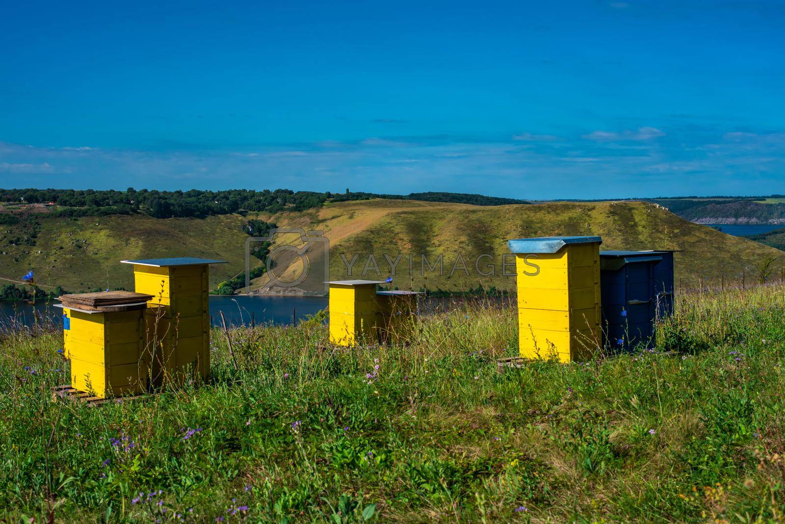 Landscape of beautiful River Dniester with Rocky Mountains in Bakota, Ukraine. Summer view with yellow wooden beehives in a row