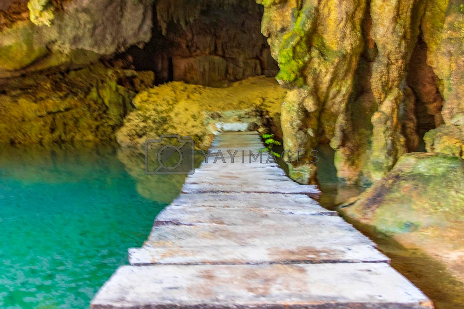 Royalty free image of Amazing blue turquoise water and limestone cave sinkhole cenote Mexico. by Arkadij