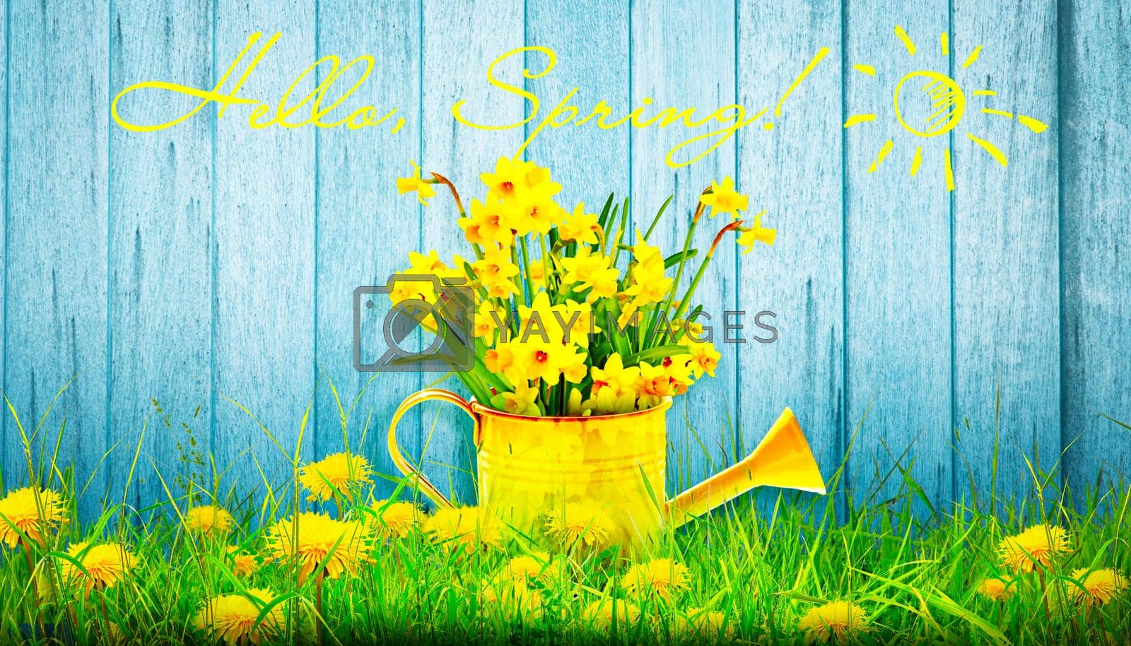 Royalty free image of Colorful wild flower bouquet in a watering can. Concept of spring and gardening. by Taut