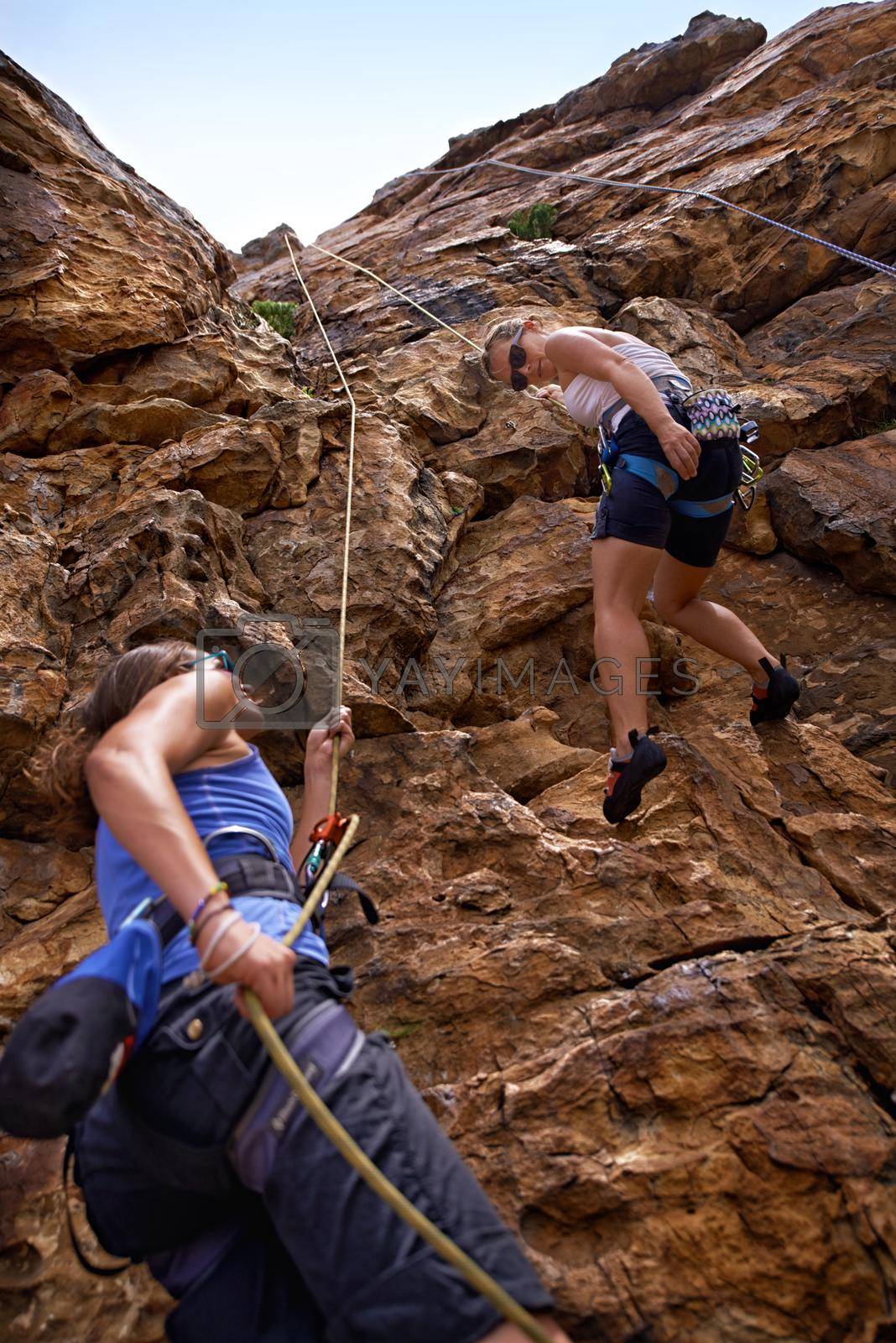 Royalty free image of Its all about trust - belaying. Two female rock climbers scaling a rock face. by YuriArcurs