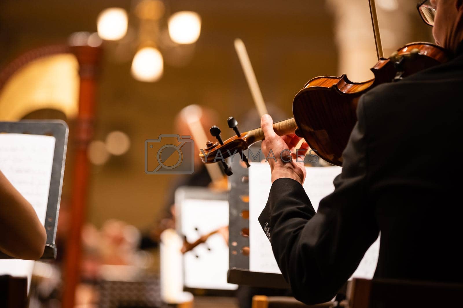 Royalty free image of Violin Playing Hands Close Up by Andelov13