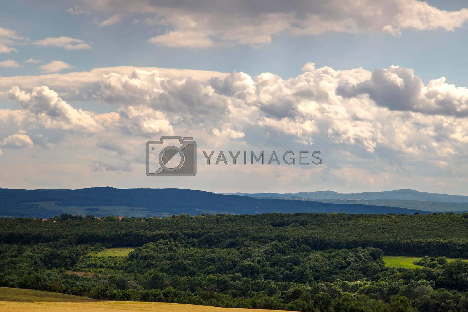 Green valley nature landscape with cloudy sky