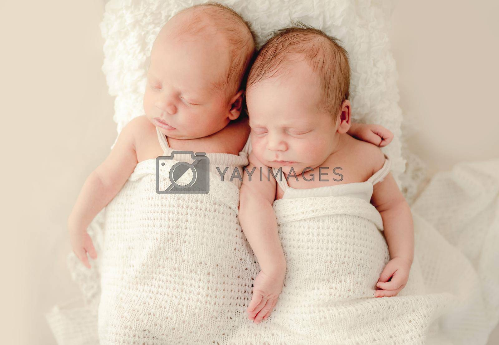 Twins newborn babies sleeping in tiny bed hugging each other studio portrait. Siblings brothers infant children napping together