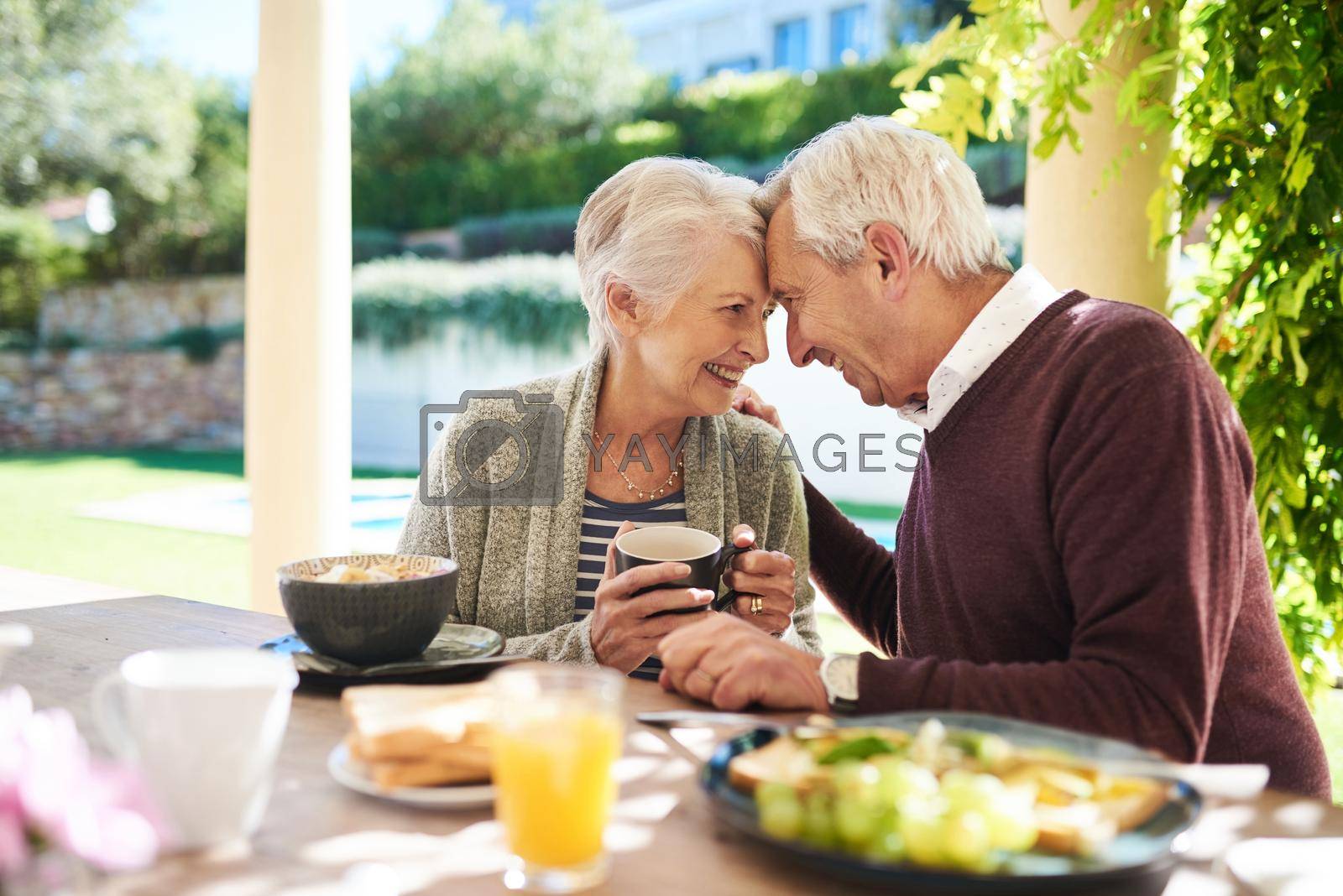 Shot of an affectionate senior couple enjoying a meal together outdoors.