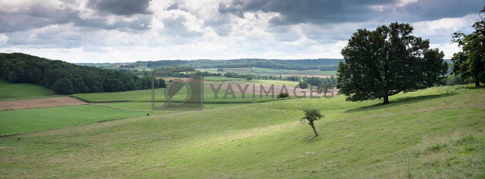 rural countryside summer landscape with green meadows and trees in french ardennes near charleville under cloudy sky in france