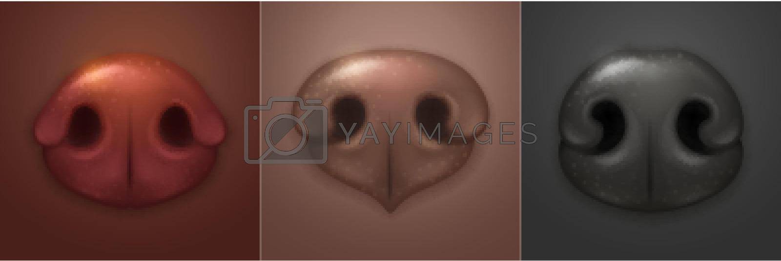 Cute dog noses, canine snout front. Vector realistic illustrations of part of dog or puppy face, brown and black noses of pets different breed. Animal muzzle print