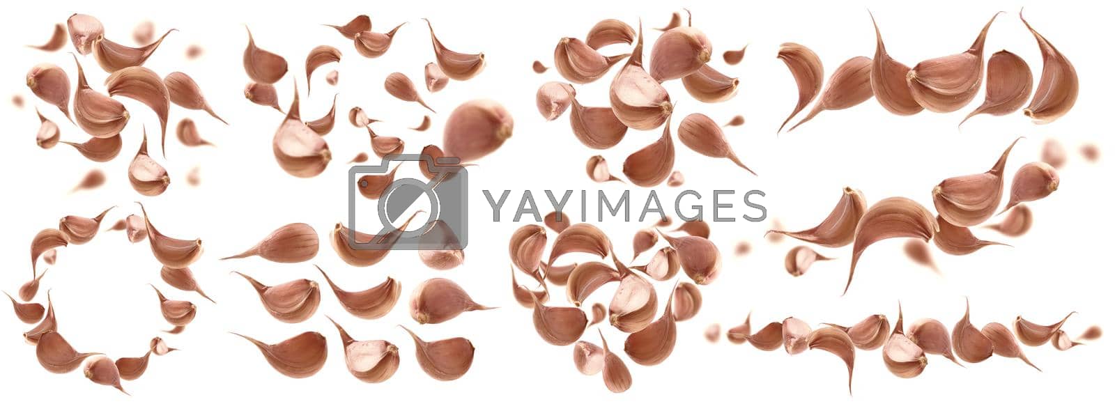 Royalty free image of A set of photos. Garlic cloves levitate on a white background by butenkow