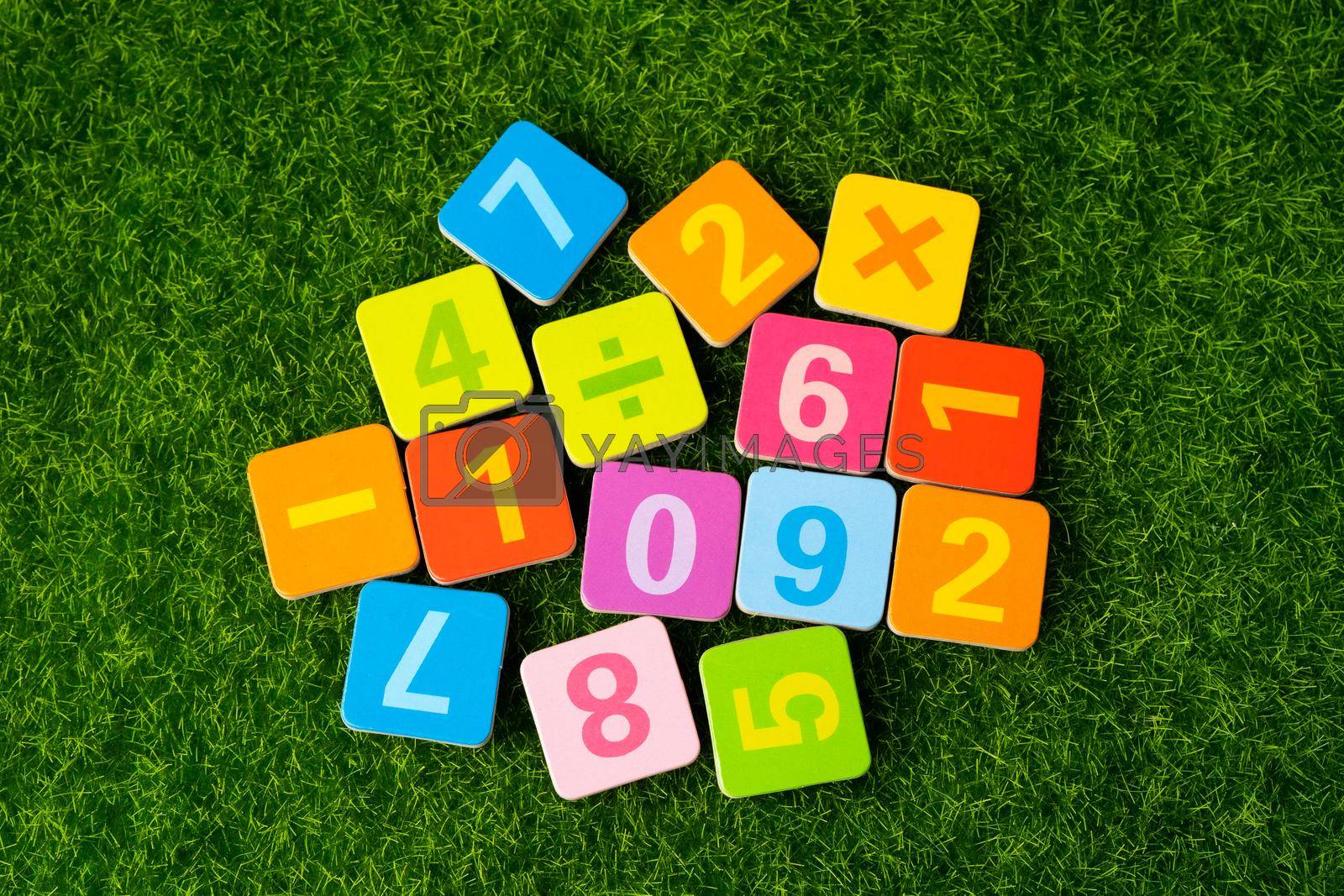 Math number colorful on grass background, Education study mathematics learning teach concept.