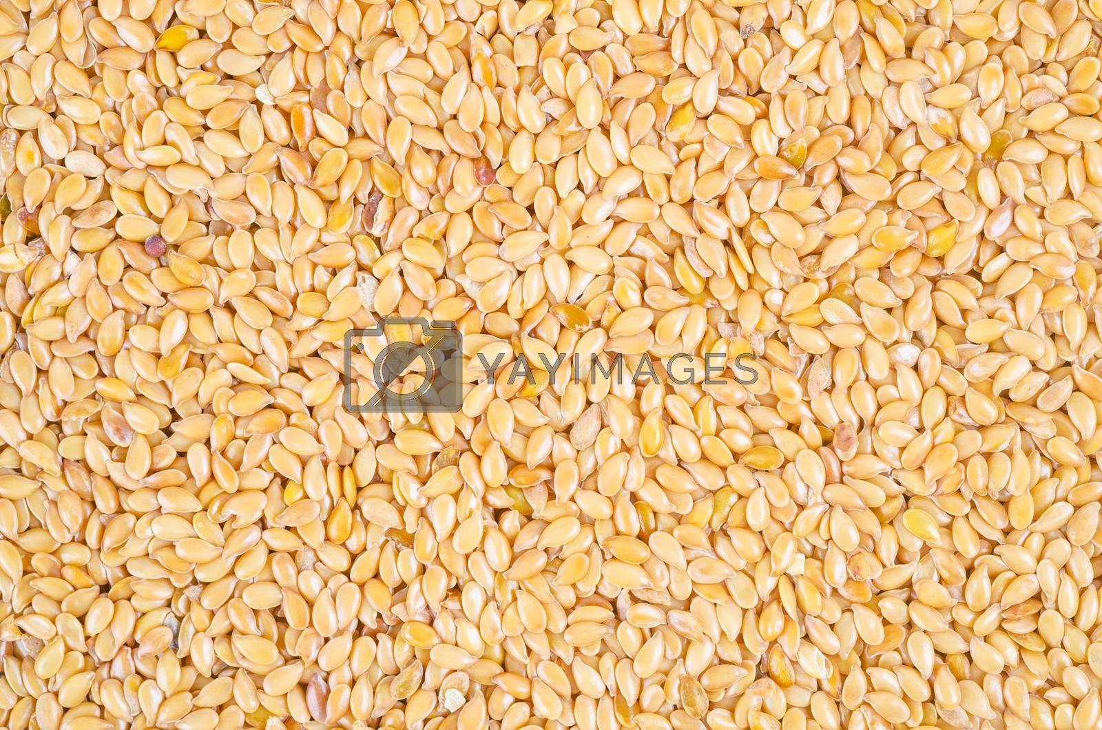 Royalty free image of Gold flax seeds texture as background. by Gamjai